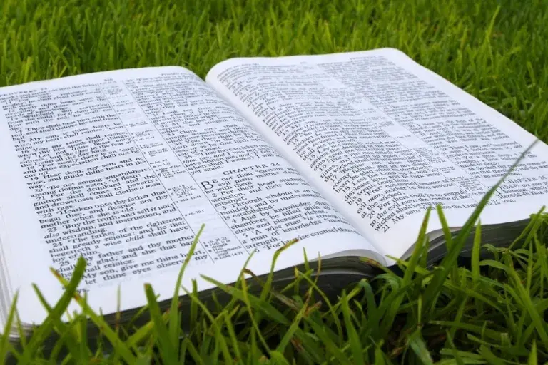 O Que Significa Cupim na Bíblia Simbolismo e Lições Espirituais